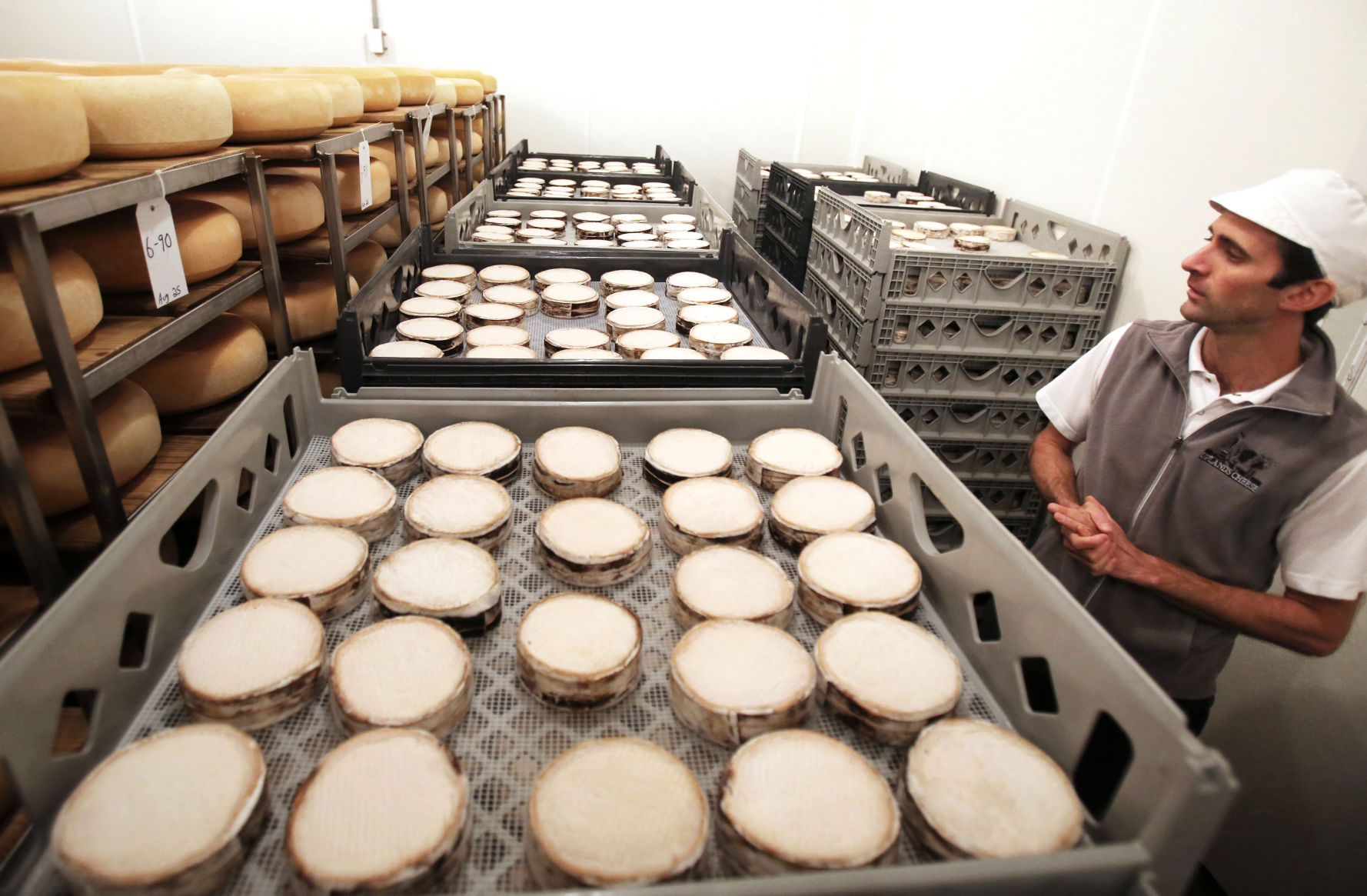 Uplands Cheese Co.